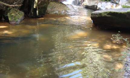 Chácara / sítio à venda no Pouso Alto, Paraibuna 