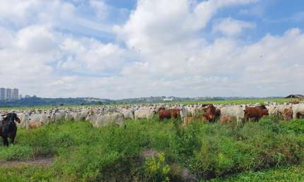 Fazenda à venda na Avenida Shishima Hifumi, Urbanova, São José dos Campos