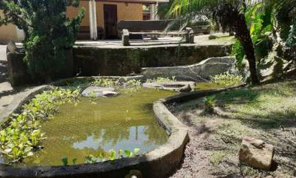 Chácara / sítio com 3 quartos à venda no Centro, Paraibuna 