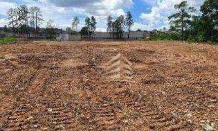 Terreno para alugar, 13000 m² por R$ 19.192,00/mês - São João - Guarulhos/SP