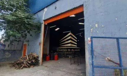 Galpão para alugar, 500 m² por r$ 17.100,00/mês - parque edu chaves - são paulo/sp
