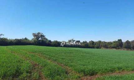 Chácara à venda, 10.000 m² por R$ 890.000 - Fazenda Nata - Londrina/PR