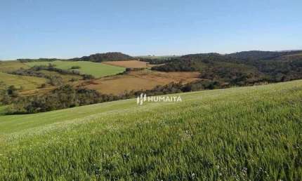 Chácara / sítio com 3 quartos à venda na Área Rural de Cambé, Cambé 