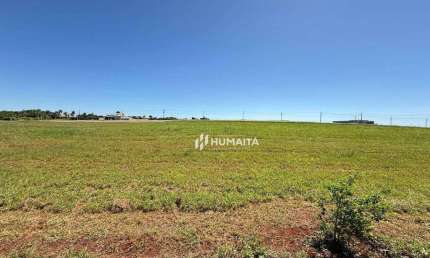 Terreno à venda, 1503 m² por R$ 950.000,00 - Gleba Fazenda Palhano - Cambé/PR