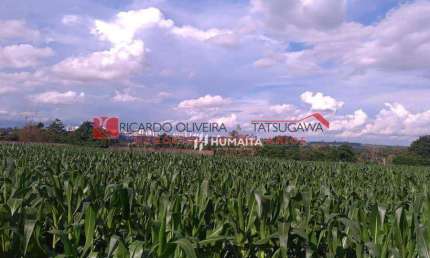 Chácara à venda, 20166 m² por R$ 2.500.000,00 - Gleba Ribeirão Cafezal - Londrina/PR