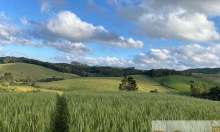 Fazenda à venda na Itapeva, Centro, Itapeva por R$ 10.000.000