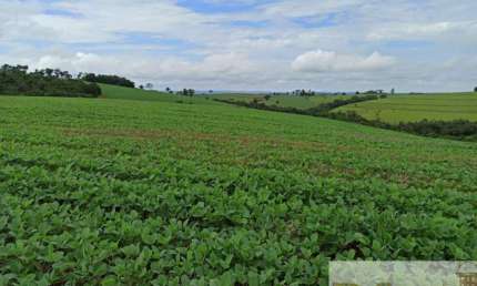 Fazenda à venda na Capão Bonito, Centro, Capão Bonito