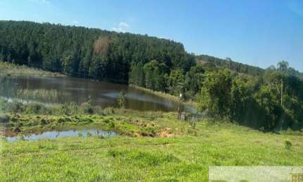 Fazenda à venda na Paranapanema, Centro, Paranapanema por R$ 30.000.000