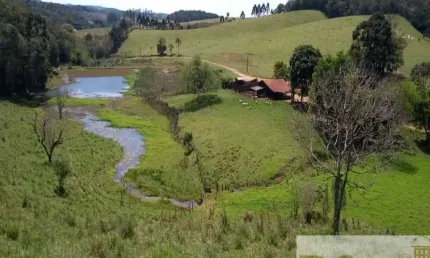 Fazenda à venda na Ribeirão Branco, Centro, Ribeirão Branco por R$ 4.800.000