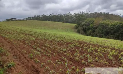 Fazenda à venda na Capão Bonito, Centro, Capão Bonito por R$ 17.150.000