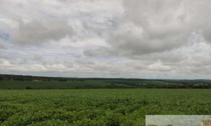 Fazenda à venda na Rua Expedicionários Itapetininganos, Centro, Itapetininga por R$ 42.000.000