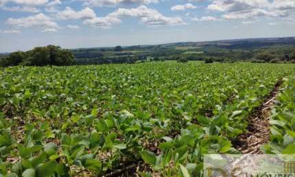 Excelente fazenda a venda em Capão Bonito/SP com área total de 136 alqueires, casa sede e casa de funcionários
