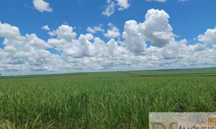 FAZENDA EM CANA A VENDA NA REGIÃO DE ADAMANTINA, 274 ALQUEIRES, SEM BENFEITORIAS