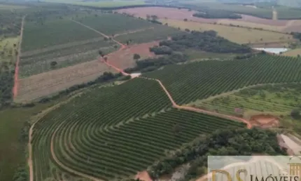 FAZENDA DE LARANJA A VENDA NA REGIÃO DE ITAPETININGA-SP, 170 ALQUEIRES, COM CASA SEDE E CASA DE CASEIRO