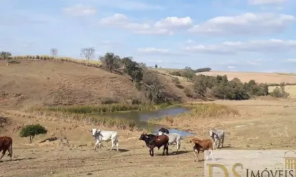 FAZENDA A VENDA EM TIETÊ-SP COM ÁREA TOTAL DE 81,5 ALQUEIRES, BOA TOPOGRAFIA E PRÓXIMA AO ASFALTO