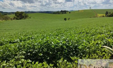 SÍTIO A VENDA EM SÃO MIGUEL ARCANJO-SP, COM ÁREA TOTAL DE 30 ALQUEIRES E REPRESA PEQUENA E NASCENTES,