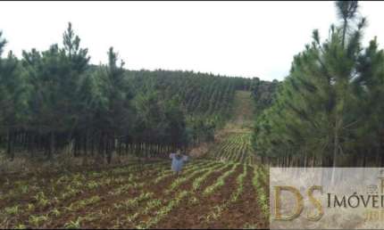 Fazenda à venda na Rua Meraldo Previdi 410, 410, Centro, Registro