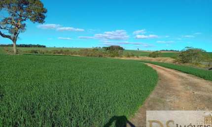 SÍTIO A VENDA NA REGIÃO DE SOROCABA-SP, COM 22 ALQUEIRES, FORMARDO EM LAVOURA E PASTO, TOPOGRAFIA PLANA E SEMI PLANA, TERRA MISTA E CASA COM VARANDA