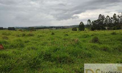 EXCELENTE SÍTIO A VENDA EM ITAPETININGA-SP, COM 16,5 ALQUEIRES, FORMADA EM PASTO, BOA TOPOGRAFIA, SOLO MISTO E CÓRREGO NO FUNDO