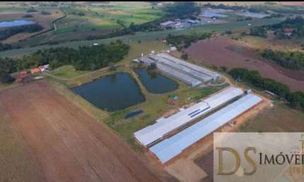 SÍTIO COM GRANJA MODERNA A VENDA EM CESÁRIO LANGE/SP, ÁREA COM 8 ALQUEIRES, 6 BARRACÕES MODERNOS, GRANJAS AUTOMÁTICAS E MAIS