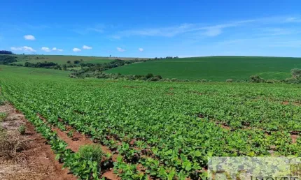 EXCELENTE FAZENDA COM 90 ALQUEIRES A VENDA EM PIRAJU-SP, TOPOGRAFIA PLANA A SEMIPLANA, TERRA ROXA E BOA DE ÁGUA