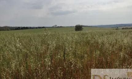 Excelente fazenda a venda em itapetininga-sp, 53 alqueires, aproveitamento de 40 alqueires, com casa sede, casa de caseiro e barracão