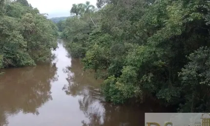 ÁREA PARA COMPENSAÇÃO AMBIENTAL OU CRÉDITO DE CARBONO A VENDA NO ESTADO DE SÃO PAULO, COM 1250 ALQUEIRES