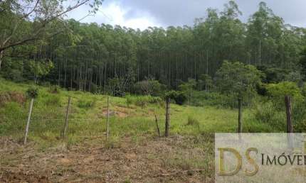 FAZENDA COM EUCALIPTO NA REGIÃO DE GUARATINGUETÁ/SP, COM ÁREA TOTAL DE 241,88 ALQUEIRES, ÓTIMA LOGISTICA E ACESSO E SAIDA PARA BITREM.