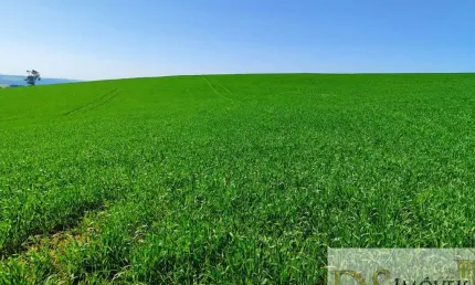 FAZENDA A VENDA EM CAPÃO BONITO/SP, 136 ALQUEIRES NO TOTAL, TERRA MISTA A VERMELHA, AÇUDE, NASCENTES E CACHOEIRA. COM BENFEITORIAS E ÓTIMA LOCALIZAÇÃO