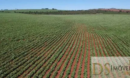 EXCELENTE FAZENDA A VENDA EM ITAÍ-SP, ÁREA TOTAL DE 50 ALQUEIRES,  TERRA VERMELHA, TOPOGRAFIA PLANA A SEMI PLANA, CASA SEDE E BARRACÃO