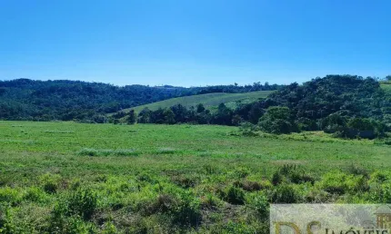 FAZENDA A VENDA NA REGIÃO DE ITAPETININGA-SP, FORMADA EM LAVOURA E PASTO, ÁREA TOTAL DE 50 ALQUEIRES, TOPOGRAFIA ONDULADA E DECLIVE SENTIDO ÁGUA