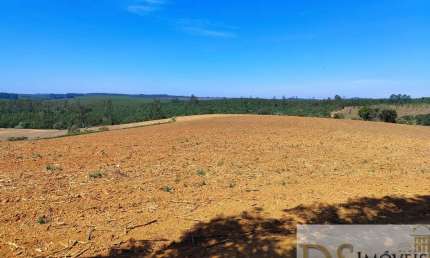 SÍTIO COM GRANJA A VENDA NA REGIÃO DE ITAPETININGA-SP, COM 30 ALQUEIRES DE ÁREA TOTAL, GRANJA, LAVOURA, ESTUFAS, PASTO E MAIS BENFEITORIAS
