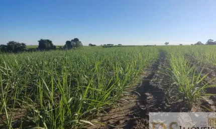 FAZENDA COM CANA A VENDA NA REGIÃO DE SOROCABA-SP, COM 119 ALQUEIRES, TOPOGRAFIA SEMI PLANA E LEVEMENTE ONDULADA