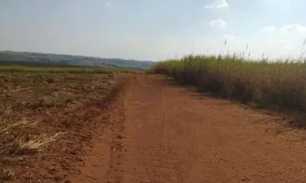 FAZENDA COM CANA NA REGIÃO DE PRESIDENTE PRUDENTE-SP, COM 512,03 ALQUEIRES, TOPOGRAFIA SEMIPLANA A LEVE ONDULAÇÃO E TERRA MISTA A ARGILOSA