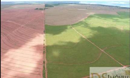 EXCELENTE FAZENDA COM CANA AS MARGENS DO RIO PARANÁ NO ESTADO DE SÃO PAULO, COM 697,7 ALQUEIRES DE ÁREA TOTAL E BENFEITORIAS
