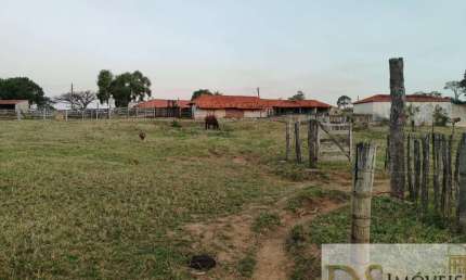 EXCELENTE SÍTIO DE 12,7 ALQUEIRES EM ITAPETININGA/SP: INVESTIMENTO IDEAL PARA HARAS, LAVOURA OU GADO