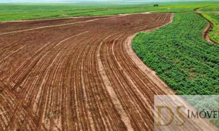 FAZENDA DE 223 ALQUEIRES EM PRESIDENTE EPITÁCIO-SP: OPORTUNIDADE DE INVESTIMENTO ÚNICA!