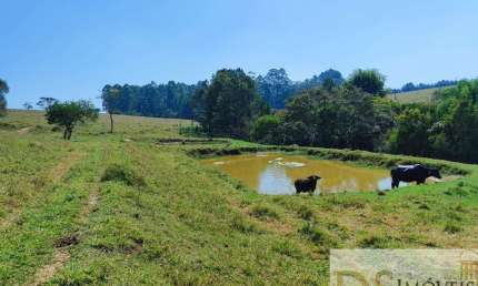 SÍTIO DE 12,5 ALQUEIRES EM ITAPETININGA/SP: CASA SEDE, PISCINA, CANIL E MUITO MAIS!