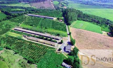 SÍTIO COM GRANJA A VENDA NA REGIÃO DE SOROCABA/SP: 15,80 ALQUEIRES DE ÁREA COM AVIÁRIOS E ÓTIMA LOGÍSTICA