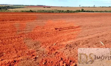 EXCELENTE FAZENDA EM CANA À VENDA EM PRESIDENTE PRUDENTE/SP: 1.275 ALQUEIRES DE OPORTUNIDADE
