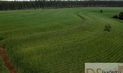 FAZENDA DE 80 ALQUEIRES EM TATUÍ/SP: ÁREA EM CANA, BENFEITORIAS COMPLETAS E DOCUMENTAÇÃO 100% EM ORDEM!
