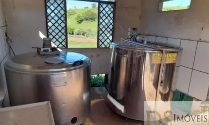 Sítio com leiteira à venda em itapetininga/sp: 31 alqueires, estrutura completa, produção diária de 600 litros de leite. confira!
