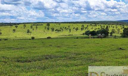 Oportunidade única! Fazenda de 294 alqueires à venda em Botucatu/SP, com potencial para gado, agricultura e mais. Aproveite!