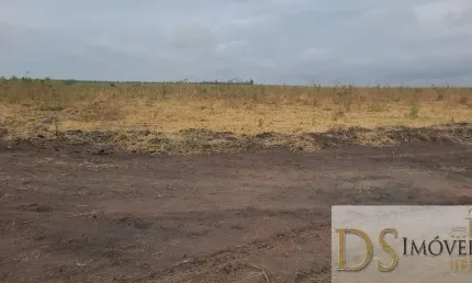 Fazenda com eucalipto à venda em Brasilândia/MG: 14.600 hectares de oportunidades!
