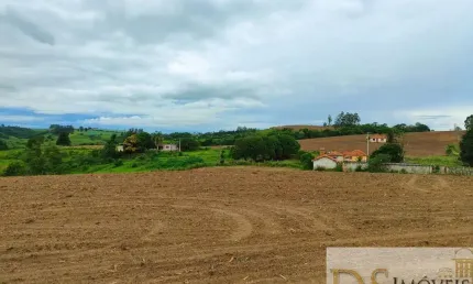 OPORTUNIDADE ÚNICA: FAZENDA DE 48,25 ALQUEIRES EM SÃO MIGUEL ARCANJO/SP!