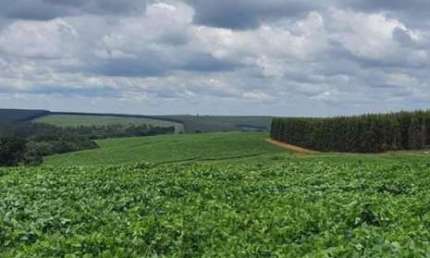 FAZENDA COM 71 ALQUEIRES À VENDA EM BAURU-SP: IDEAL PARA INVESTIMENTO AGROPECUÁRIO