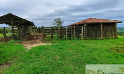 Sítio à Venda em Itapetininga-SP: 10,34 Alqueires de Pura Qualidade!