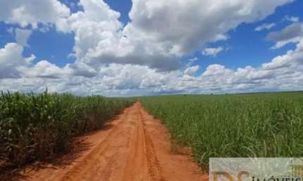 Fazenda de 403 alqueires em Pacaembu-SP: oportunidade única na região de Adamantina. Invista já!