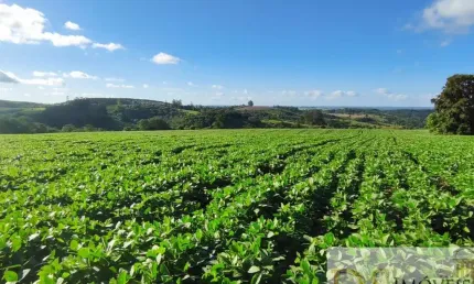 IMPERDÍVEL: SÍTIO DE 21 ALQUEIRES EM SÃO MIGUEL ARCANJO/SP por R$1.100.000,00!