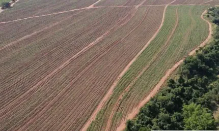 FAZENDA COM CANA DE 215 ALQUEIRES À VENDA EM ARARAQUARA-SP  - Excelente Oportunidade!
